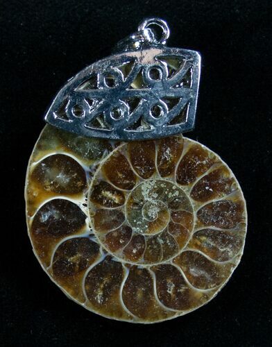 Ammonite Fossil Pendant #7070